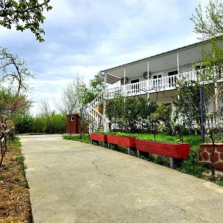 Hilltop Guest House Kutaisi Exterior foto