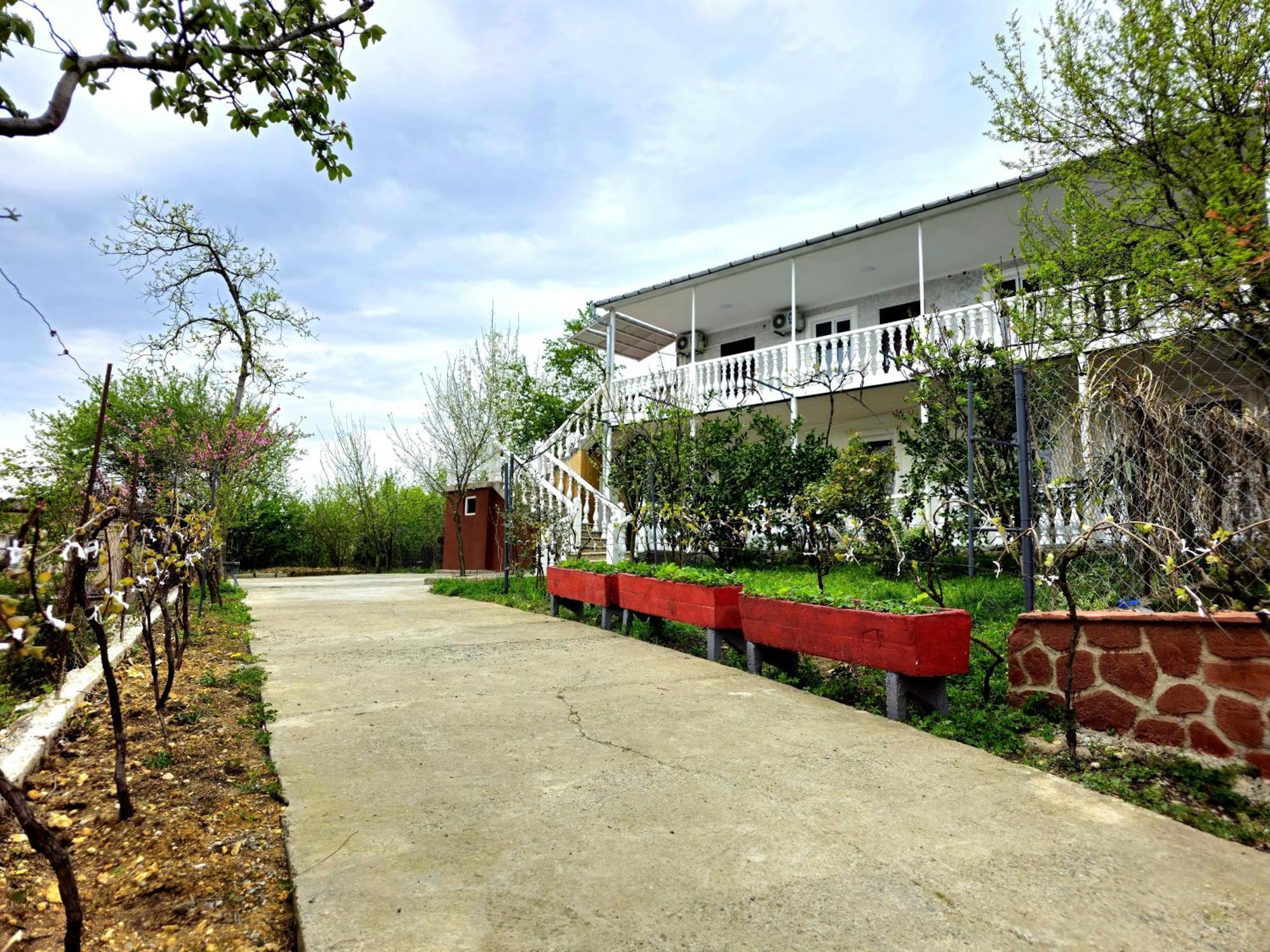 Hilltop Guest House Kutaisi Exterior foto